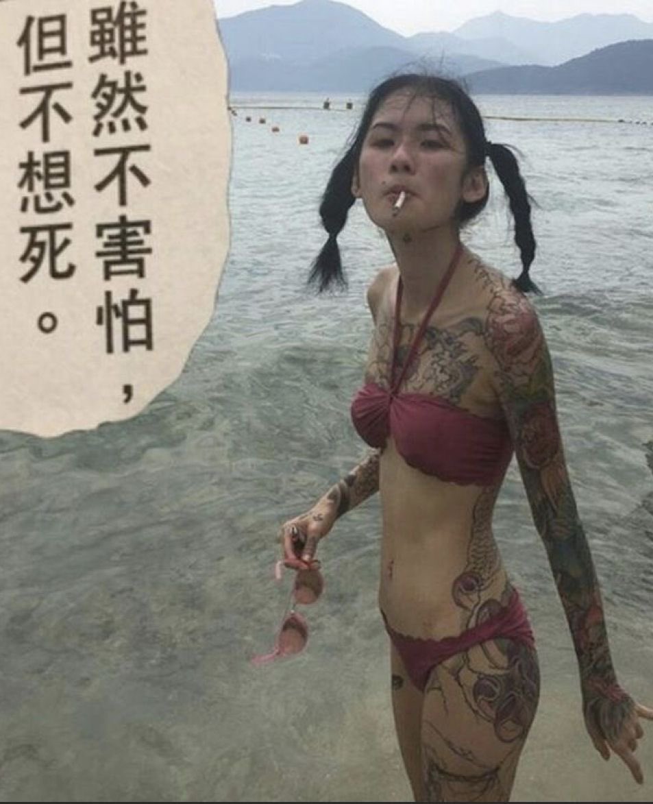 无格 tweet media