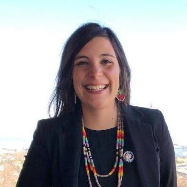 danomite42896's tweet photo. @MNHRCWarRoom From this to that right in front our eyes is the First Hispanic Native they/them with a Polish last name.  State of Minnesota Rep from Duluth. Do Better #DFL https://t.co/HQFN3lP5yV