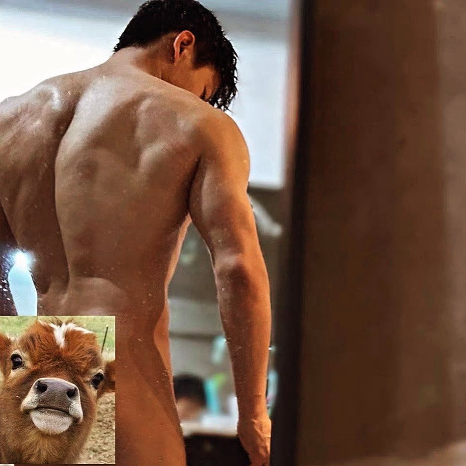 𝐓𝐂 htztwi (体操张宏涛) tweet media