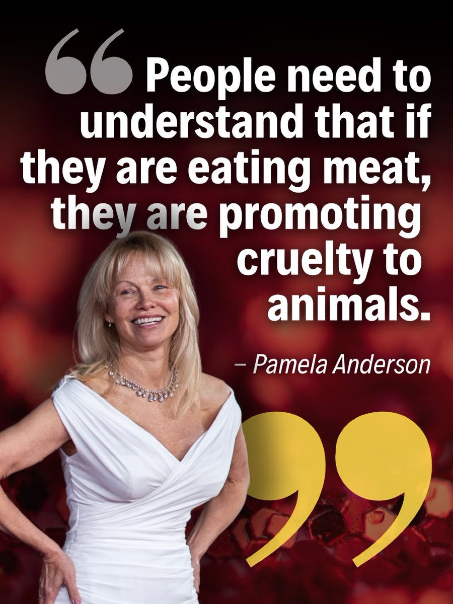 Vegan FTA tweet media