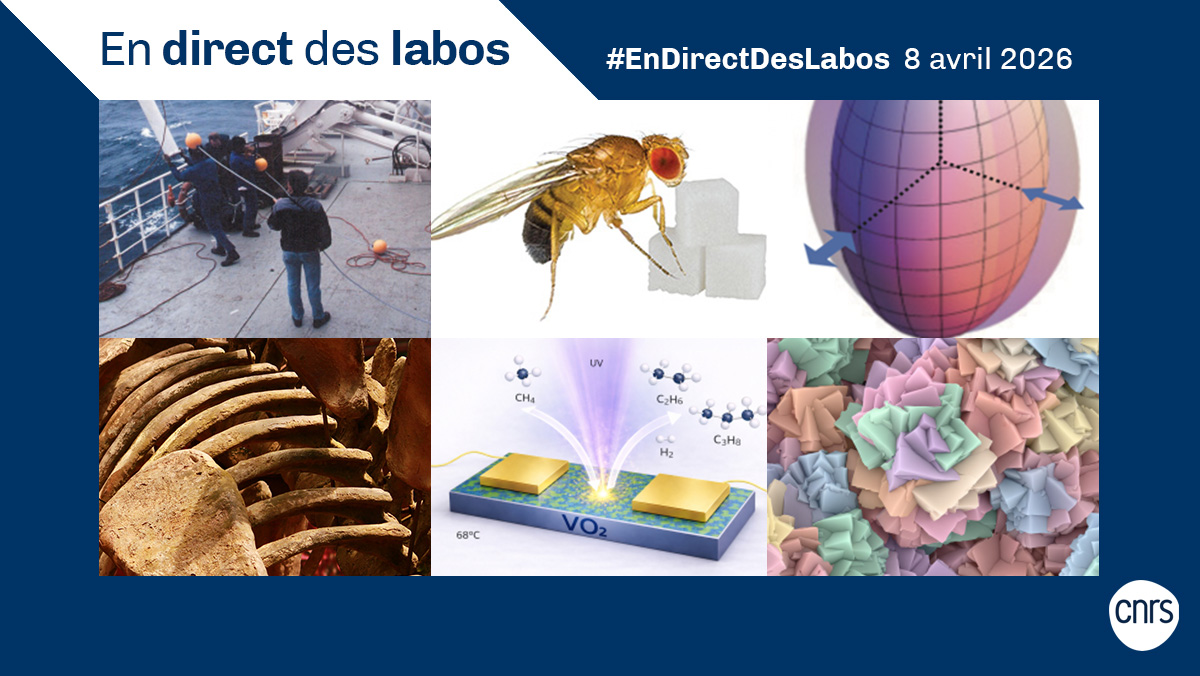 CNRS 🌍 tweet media