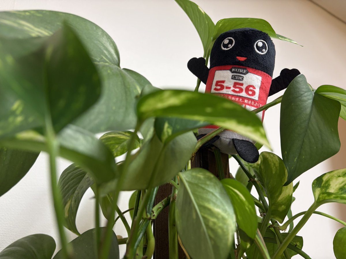 #GOGOROCKON

新年度になって一週間が経ちましたね！
あっという間に日々が過ぎていきますね…😳
東京は桜が散り始めていてなんだか寂しいです😿

今週も #成田昭次 さんと #高橋和也 さんが
ガレージに集合！
週末をお楽しみに✨

radiko.jp/share/?sid=FMT…

#RockonSocialClub