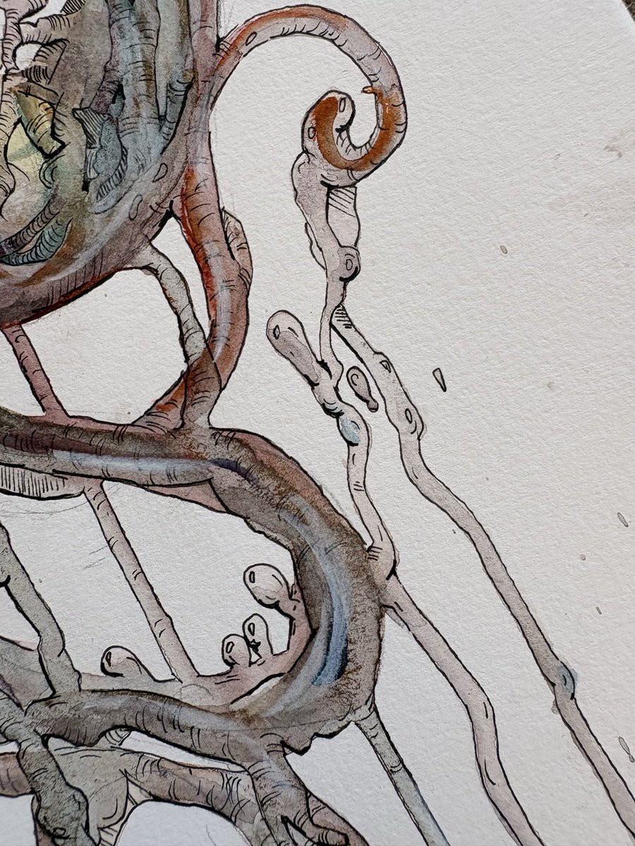 Ces p’tits champis ils tuent 😍