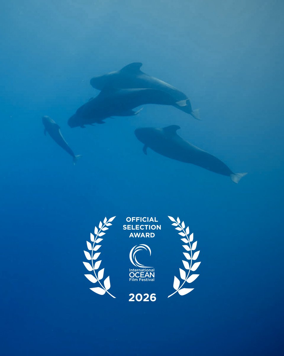 Changing Seas tweet media