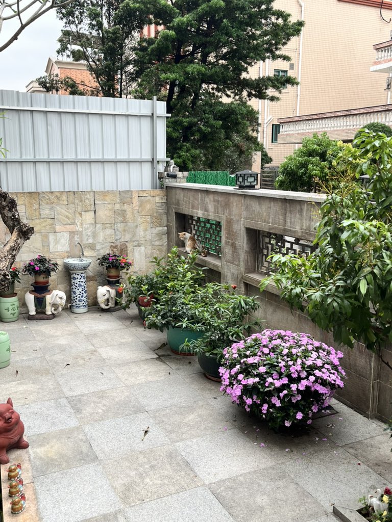 UU382_682's tweet photo. https://t.co/P8HpsBXE1C