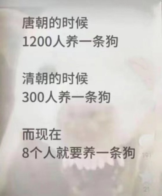 yx53834975's tweet photo. 🔥 現在是八個中國人養一隻“中共狗官”‼️👎 https://t.co/scCxl5muMK