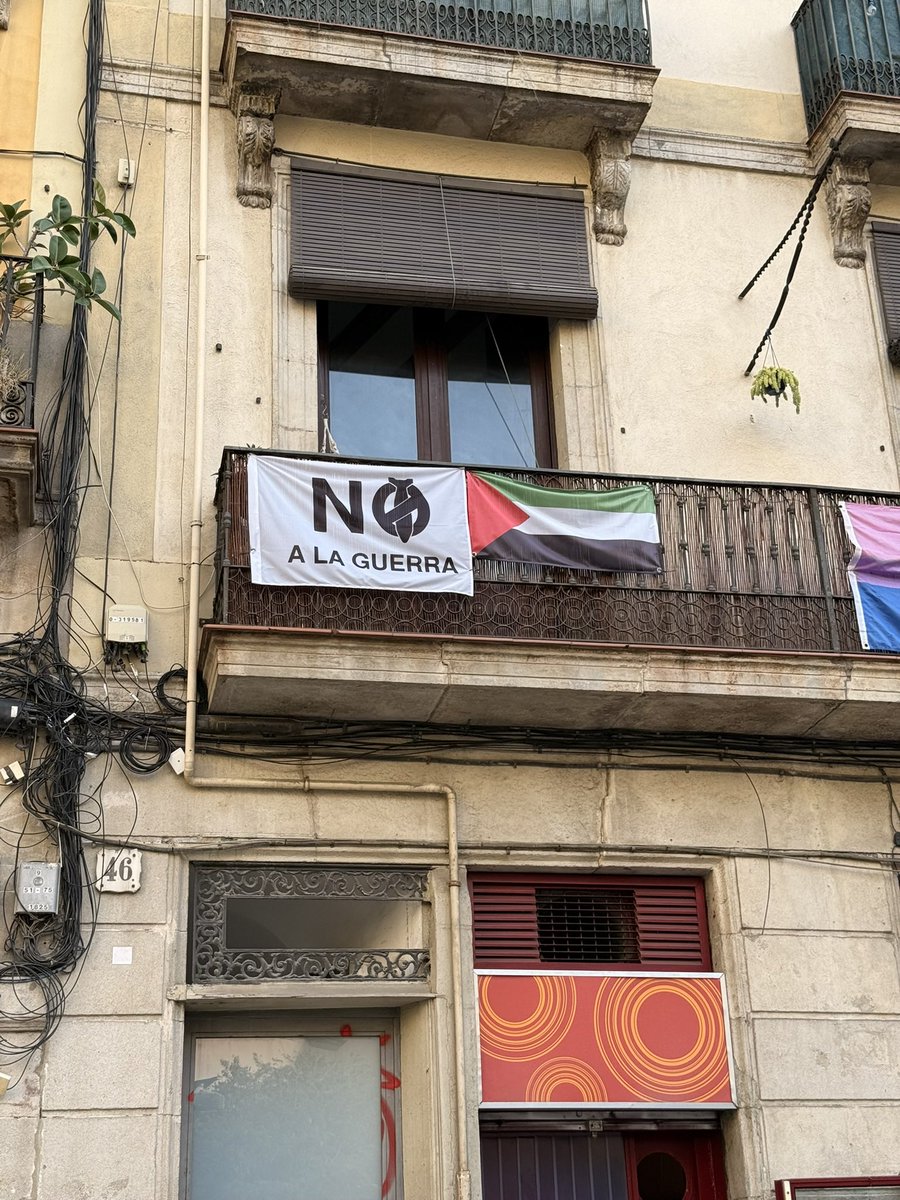 alaa ๐ง๐ฆ๐ท tweet media