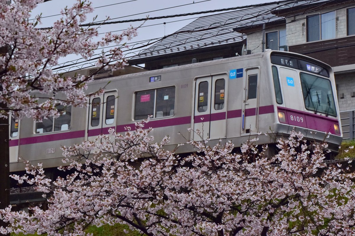 ピン甘快速 tweet media