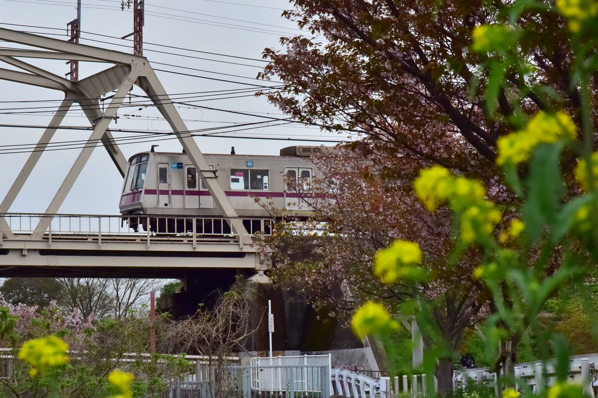 ピン甘快速 tweet media