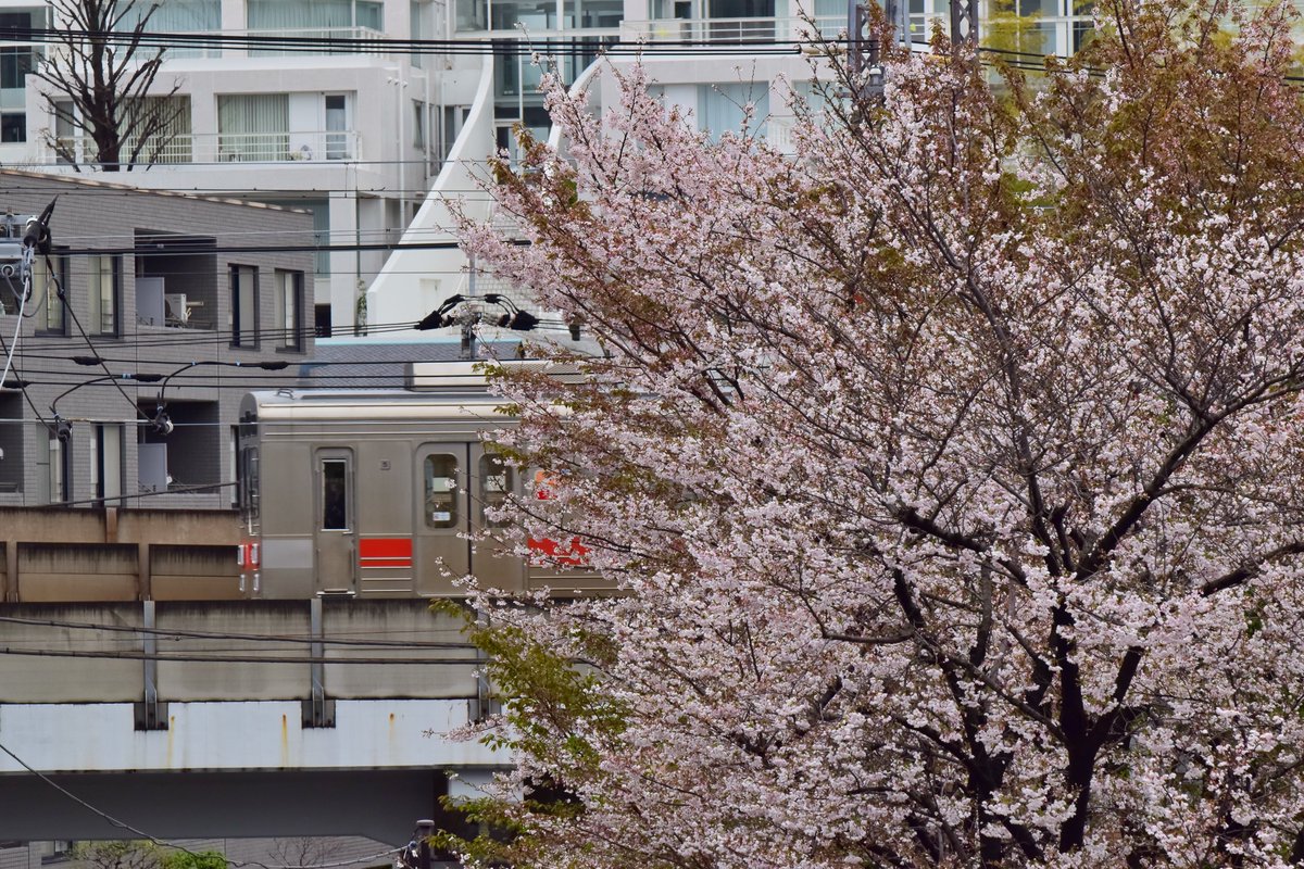 ピン甘快速 tweet media