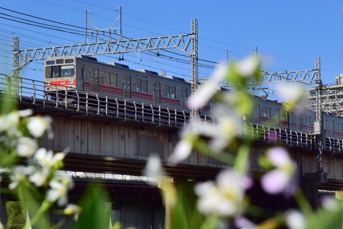 ピン甘快速 tweet media