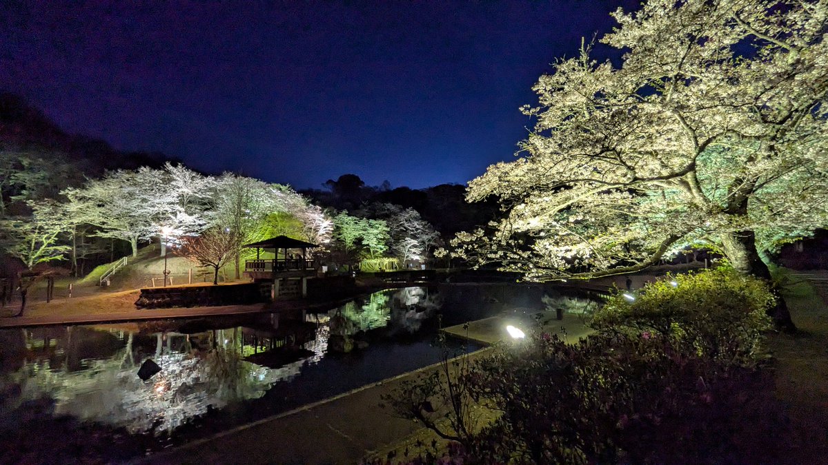 シニーチ tweet media