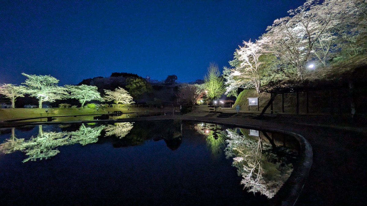 シニーチ tweet media