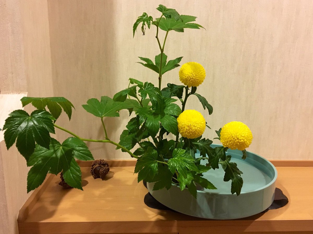 まつこ(待つ子) tweet media