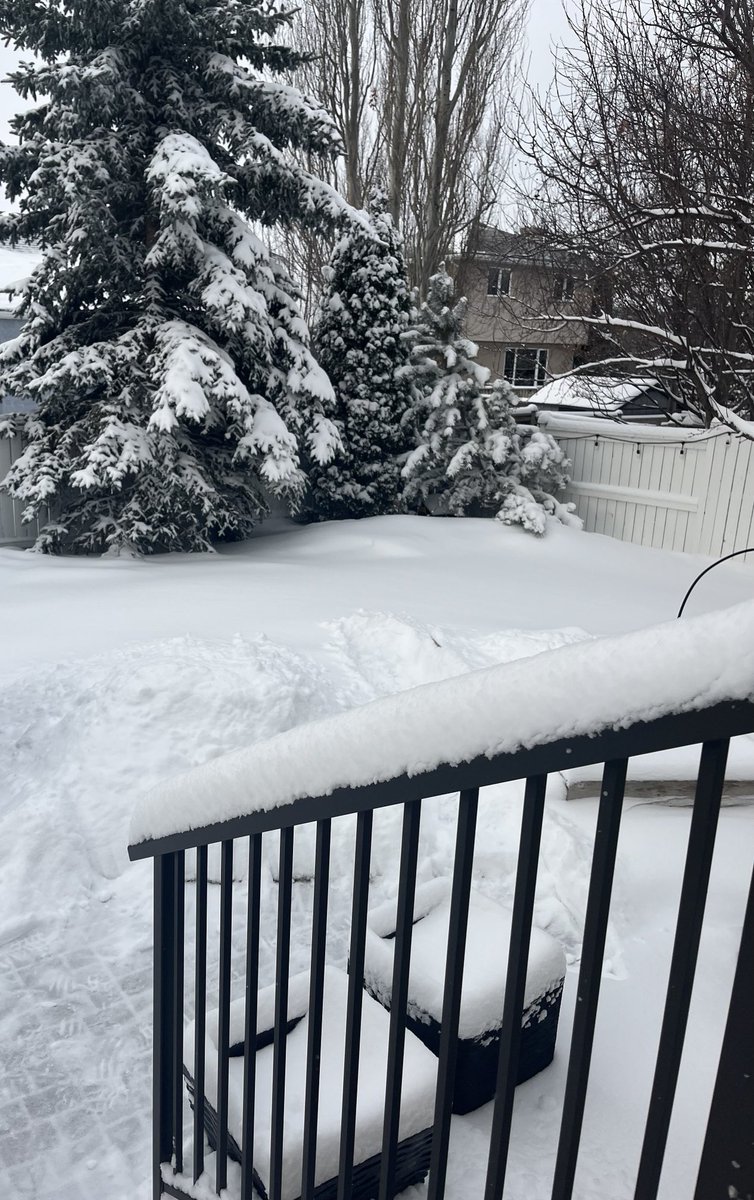 LittleDenene's tweet image. When Spring springs in Saskatchewan! 

#neverendingwinter #moisture #Saskatchewan