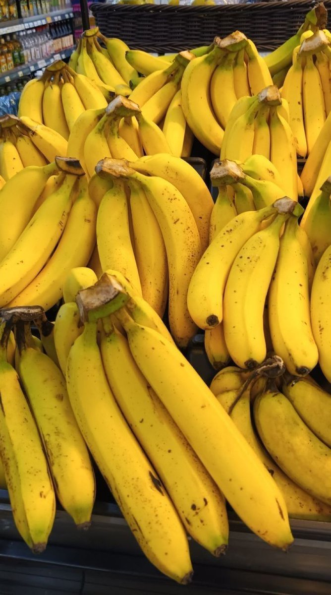 bilbilbites's tweet image. •' 🍌*• ☆ YES OR NO: BANANA VARIETIES FOOD POLL
#Banana #TheBestFruit #FoodPoll