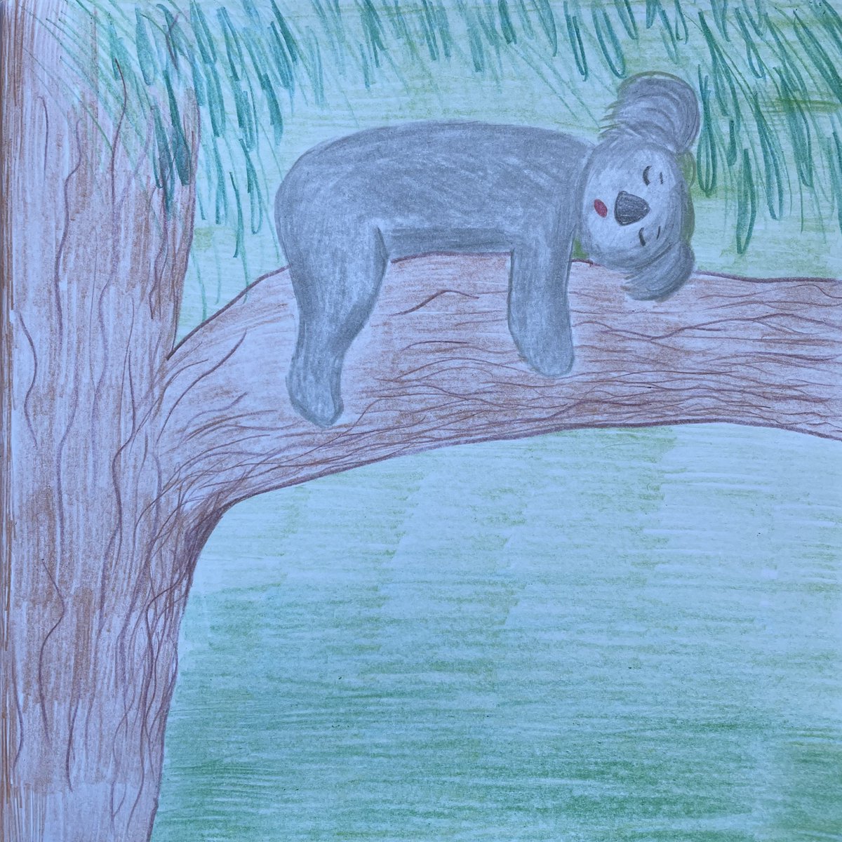 Daily Koala. 🐨🧡
So naturally… 🌳😴🐨

99/…

#dailykoala #OP81 #Oscrawr #OscarPiastri #F1 #Formula1 #F1Art
