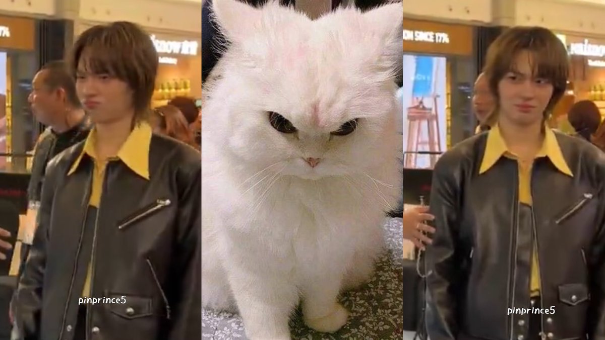 julfeb ♡ tweet media