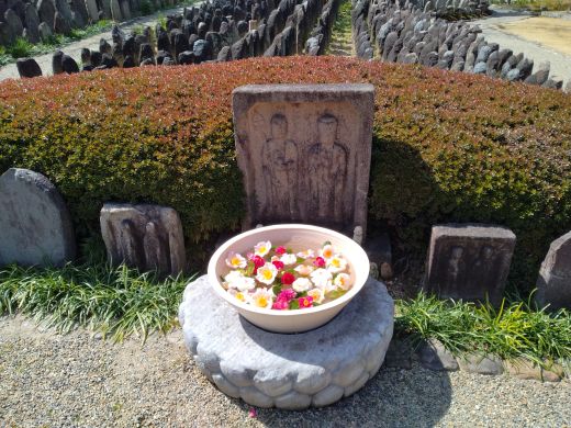 みいちゃん (mie) tweet media