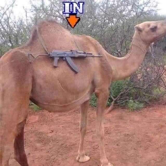 Oscar Pineda tweet media