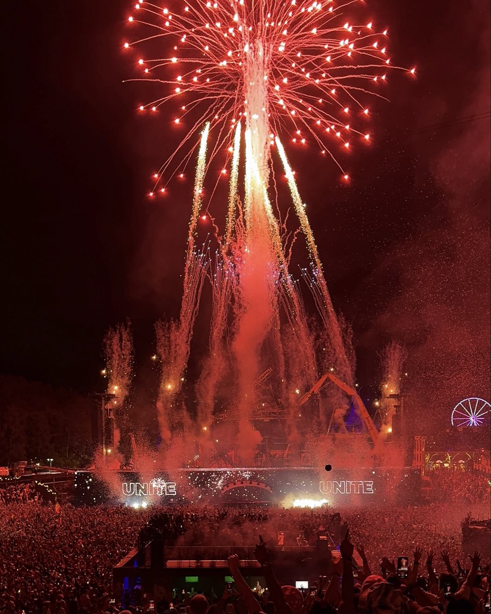 Alleined tweet media