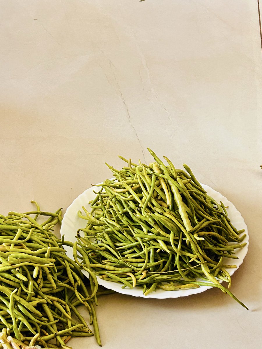 Dr. Virma Ram tweet media