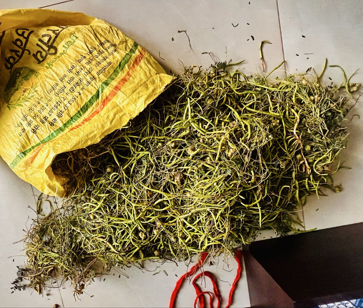 Dr. Virma Ram tweet media