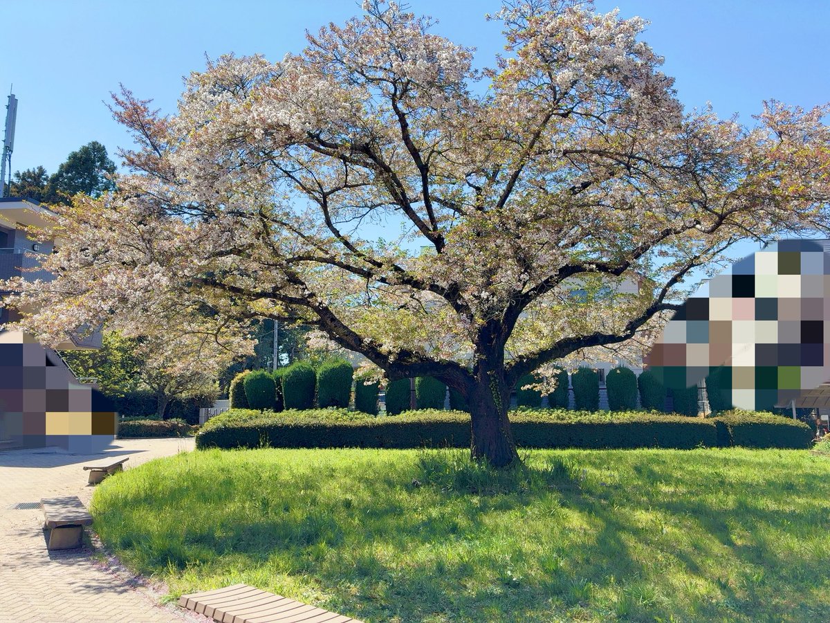 Amazon配達員の女（新人） tweet media