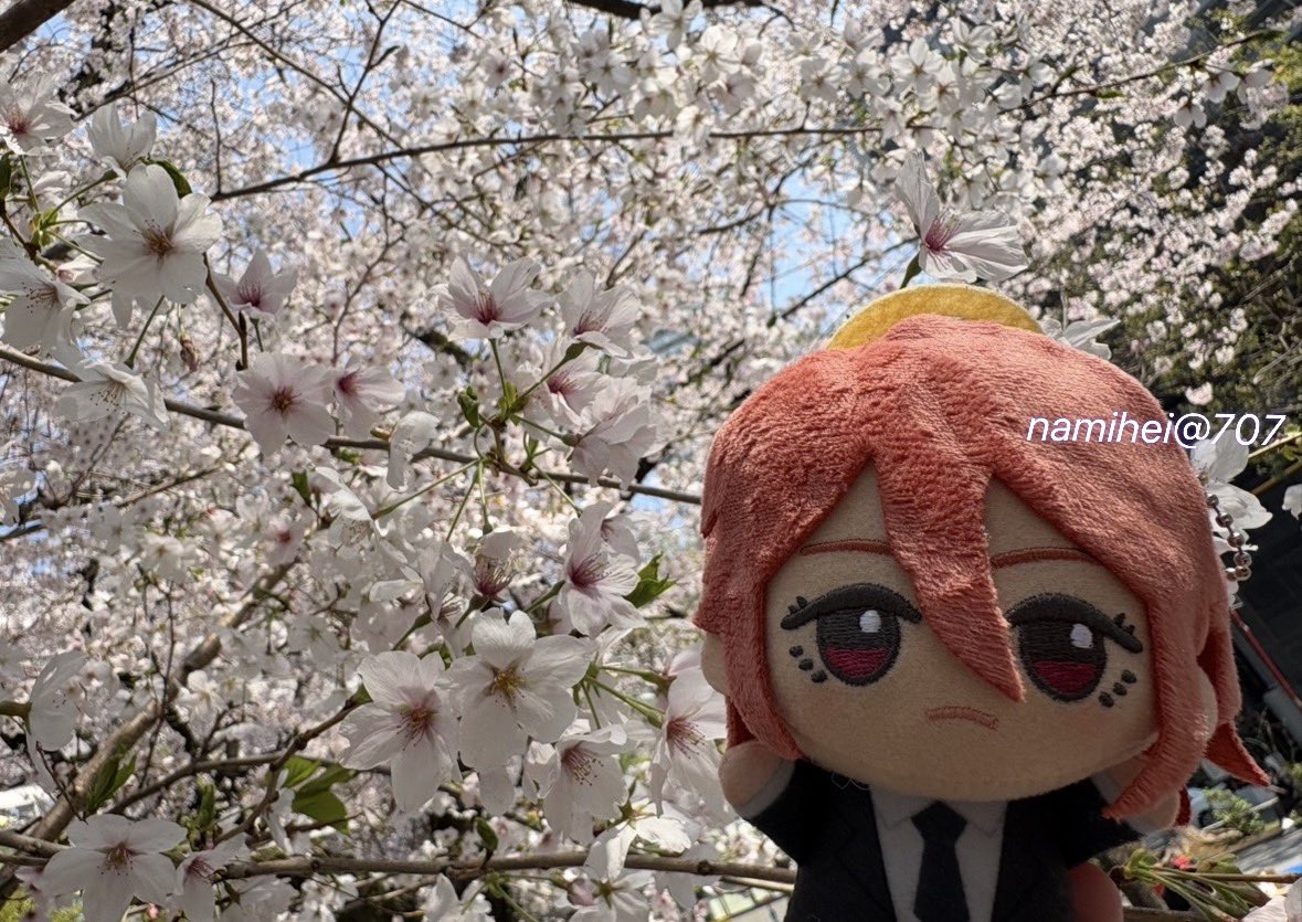 碧音（あおね） tweet media