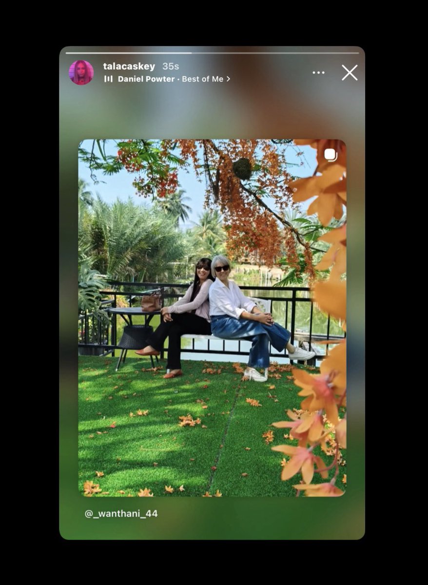 bbrie 🥑 tweet media