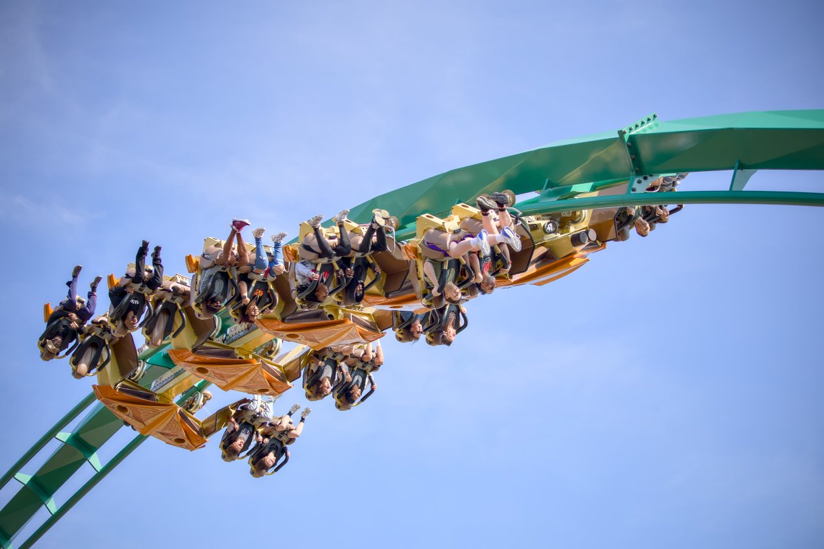 Themetography tweet media