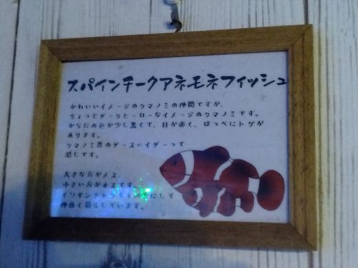 みいちゃん (mie) tweet media