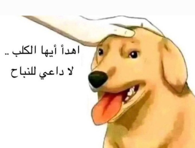 خالد العتيبي tweet media