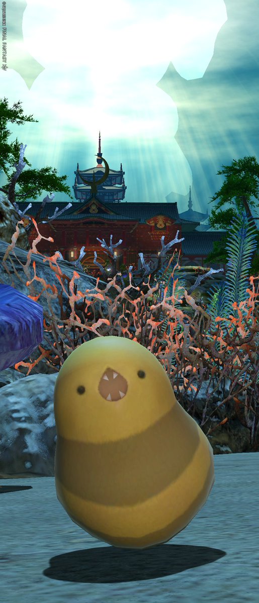 カラト兄 tweet media