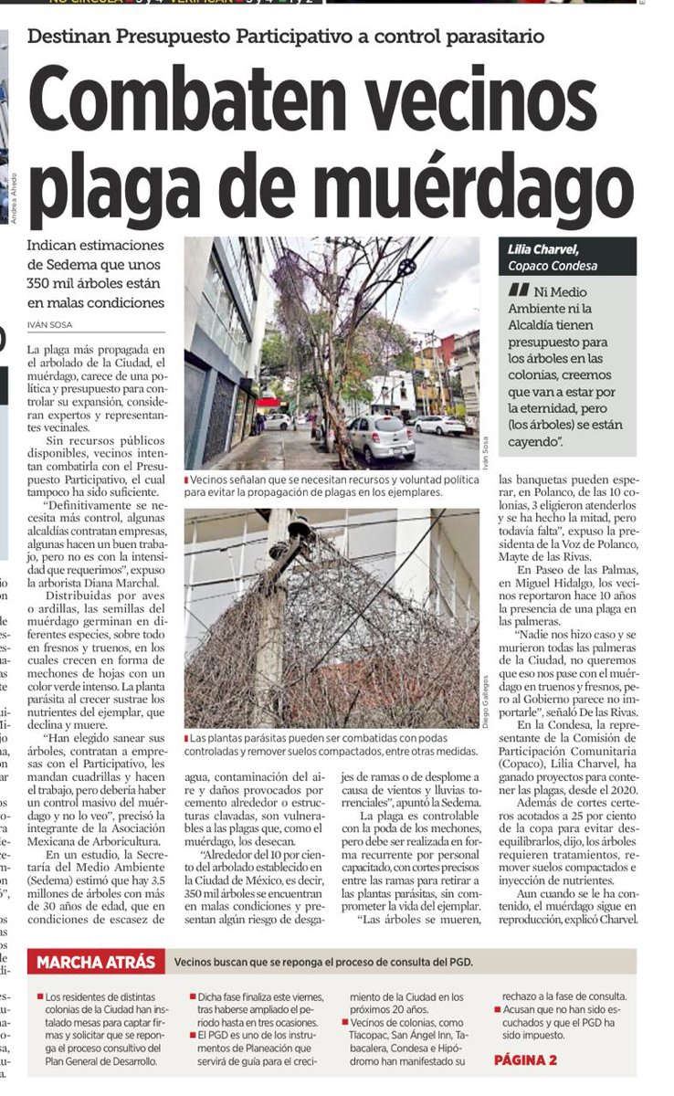 LA VOZ DE LA CIUDAD tweet media