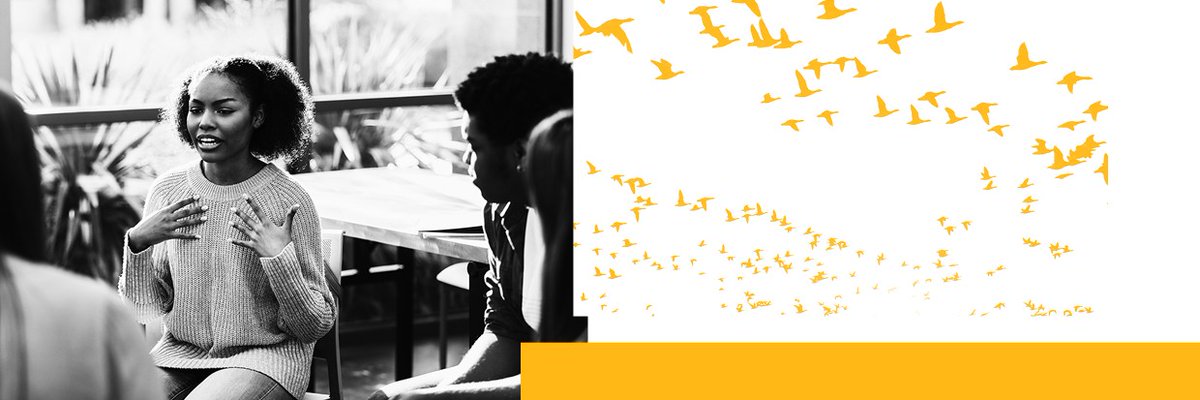 UN Human Rights tweet media