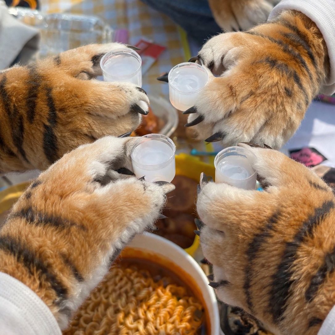 가많이 tweet media