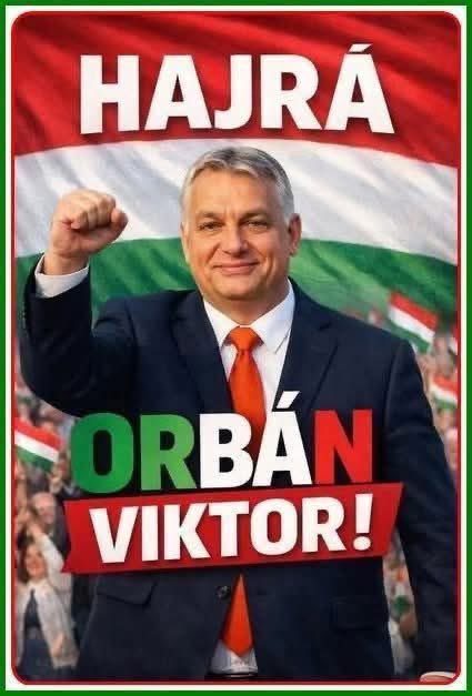 Gerhard Schweitzer tweet media