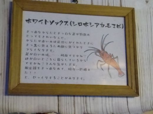 みいちゃん (mie) tweet media