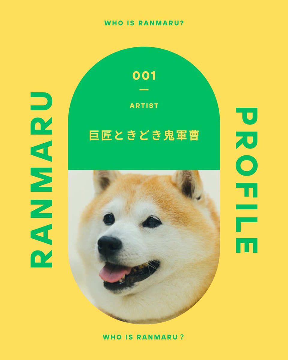 WANI BOOKOUT（ワニブックス） tweet media