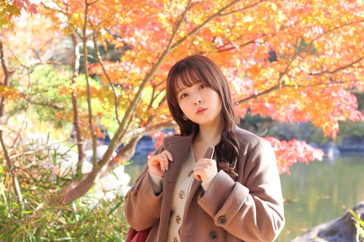 のぶたん (@nobutan0729) / Posts / X