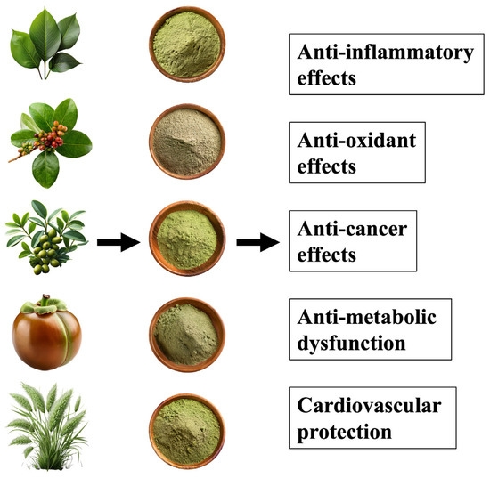 IJMS_MDPI's tweet image. 💡Check out our article related to the Hot Topics "#Curcumin"

📕𝐀Anti-Inflammatory Actions of Plant-Derived Compounds and Prevention of Chronic Diseases: From Molecular Mechanisms to Applications

🧑‍🔬by Kazuhiko Nakadate, et al

🔗mdpi.com/1422-0067/26/1…

#OpenAccess #MDPIIJMS