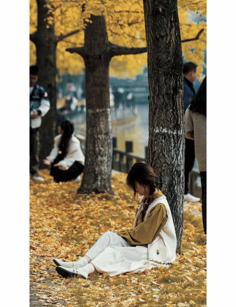 Vavou974's tweet photo. Autumn breeze, golden leaves, warm latte—perfect day to stroll and savor the quiet joy. https://t.co/3xphnzdbkk
