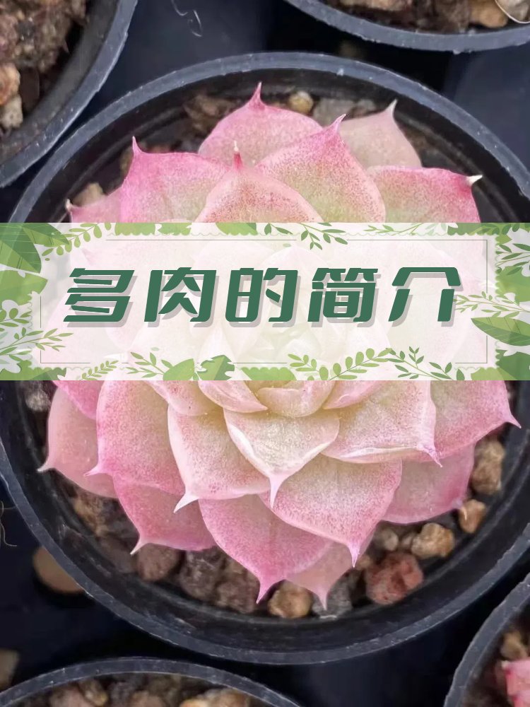 スマイル１７１７ tweet media