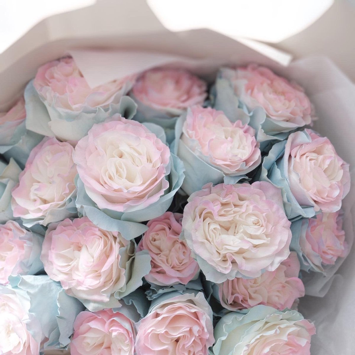 Clem || COMMS OPEN!! tweet media