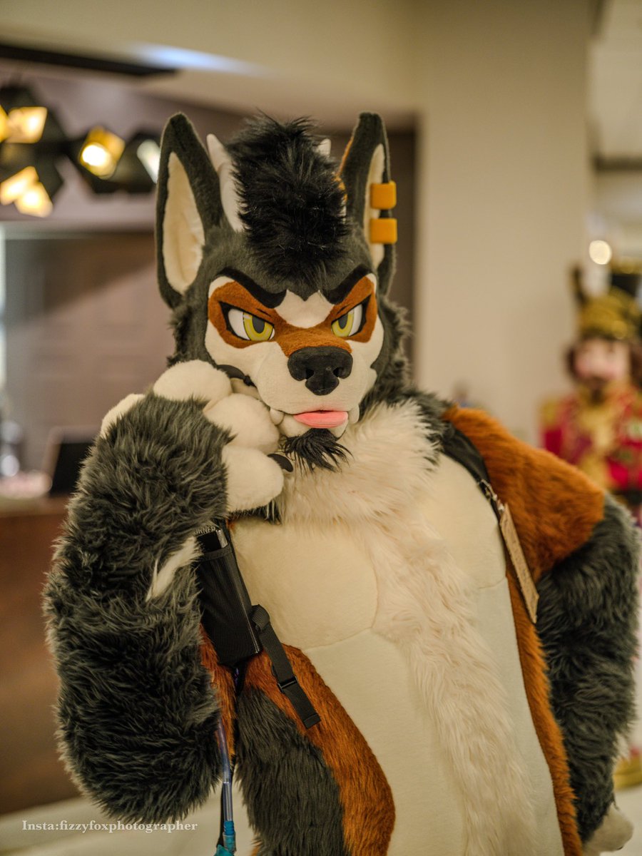 PhotographerFox's tweet photo. @Jazz_BerryJam I usually charge 100$ per event, which usually includes over 100 edited photos (depends on how long the event is) I should be charging more but since it’s a hobby and not a job for me it feels weird for me to charge more. (Few of murr examples) https://t.co/wufSeKTQFn