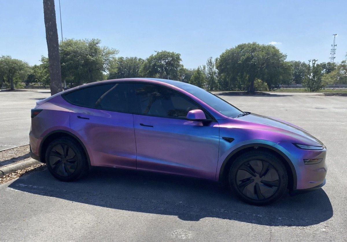 Digital Daisy🌸 tweet media