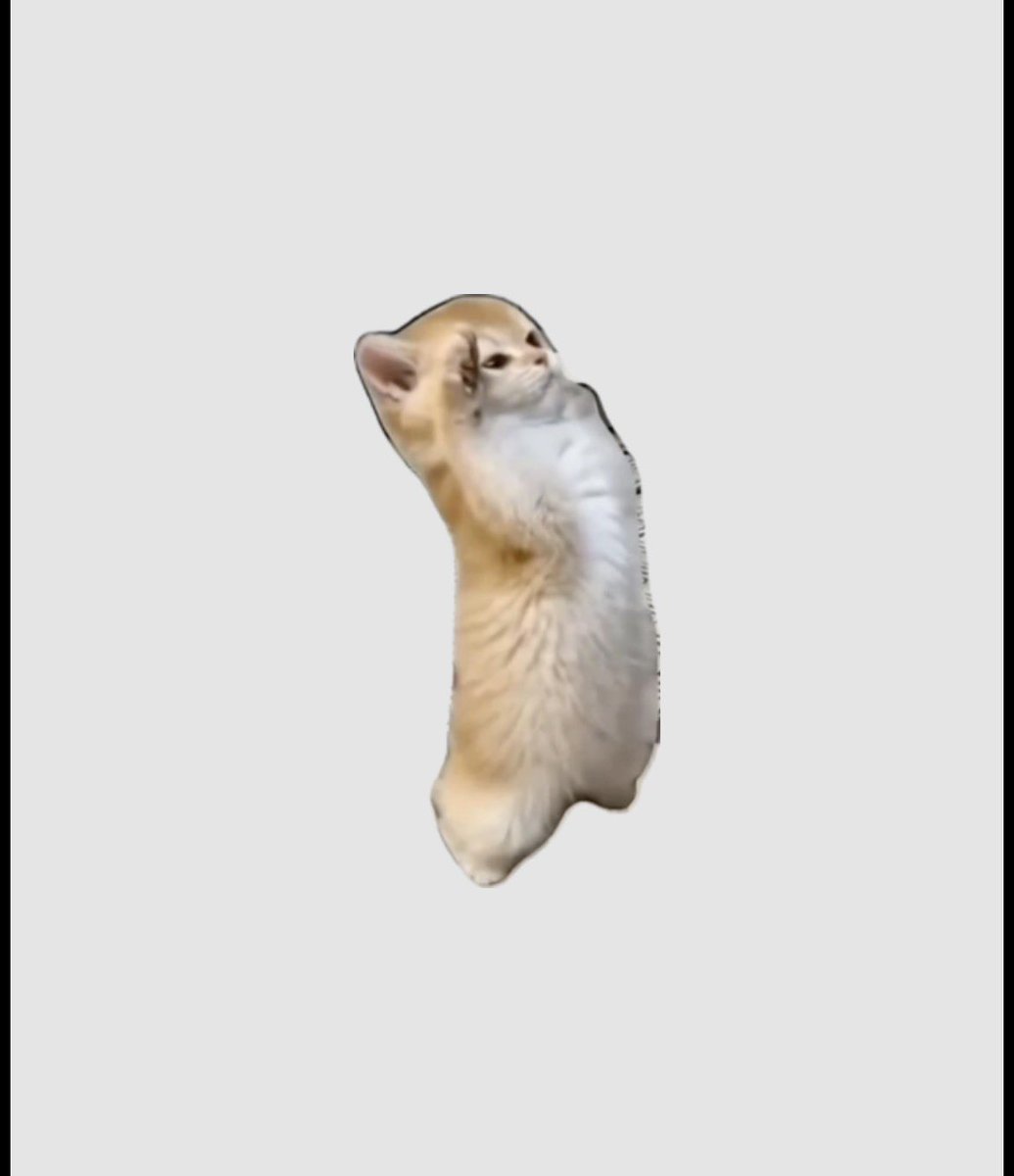 ⌗ คอตตอน ⌗ 💭 tweet media