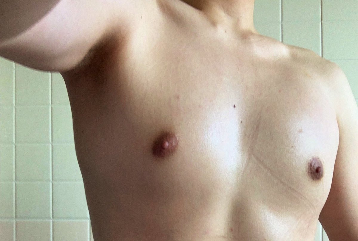 福月とらま🐯🦴🐾vtuber tweet media