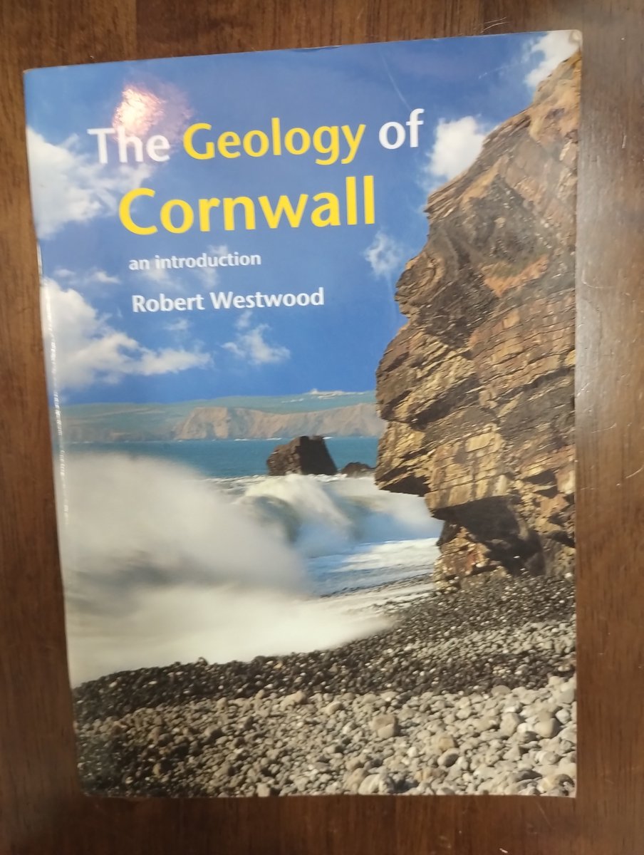 Katrina Rotgalve tweet media